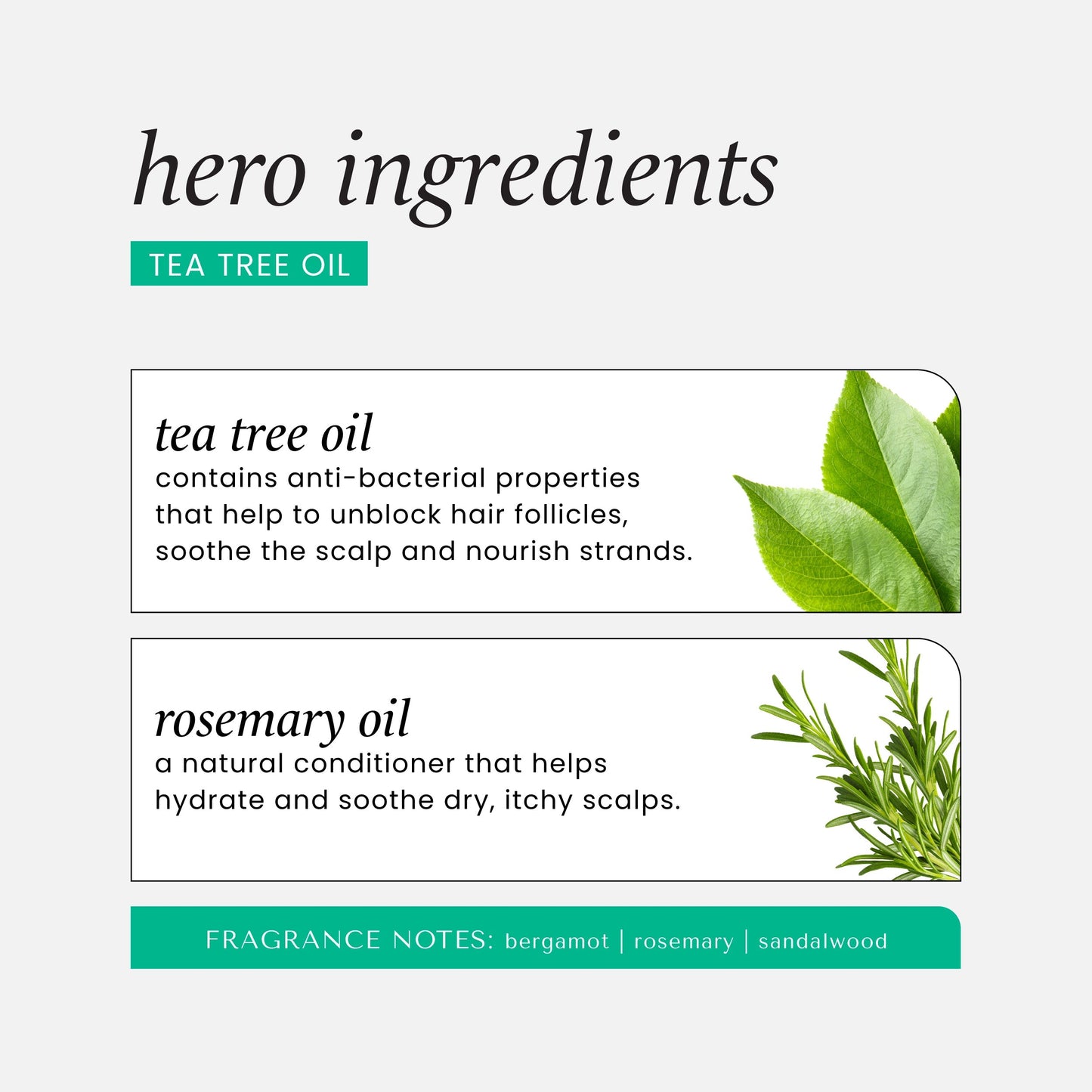 Tea Tree Oil & Rosemary Invigorating Conditioner