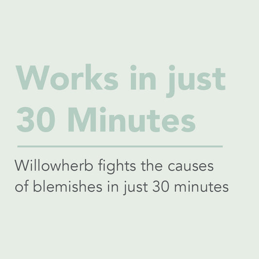 SPOT BANISHING GEL | BLEMISH CONTROL | 15 mL