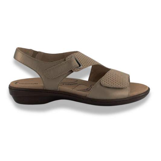 AVRIL Taupe Comfort Shoes