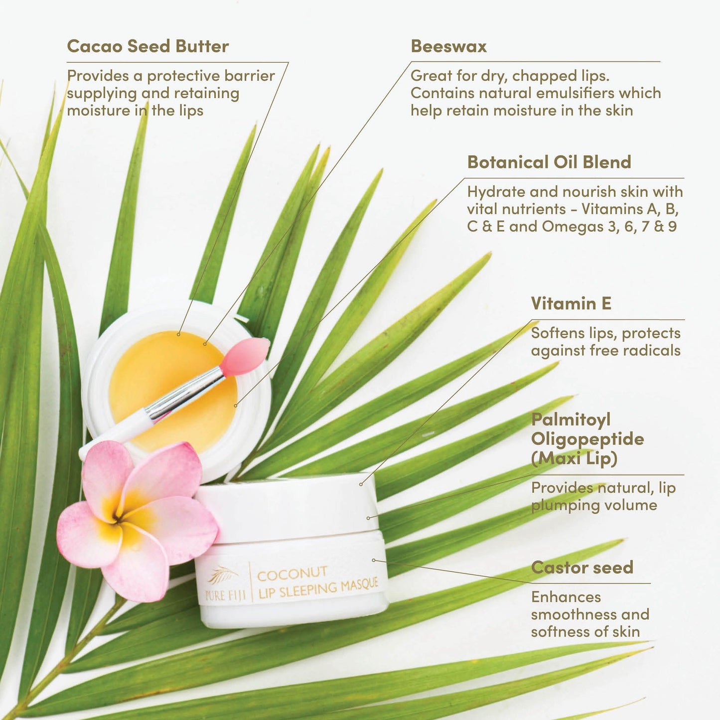 Coconut Lip Sleeping Masque (0.5oz/15g)