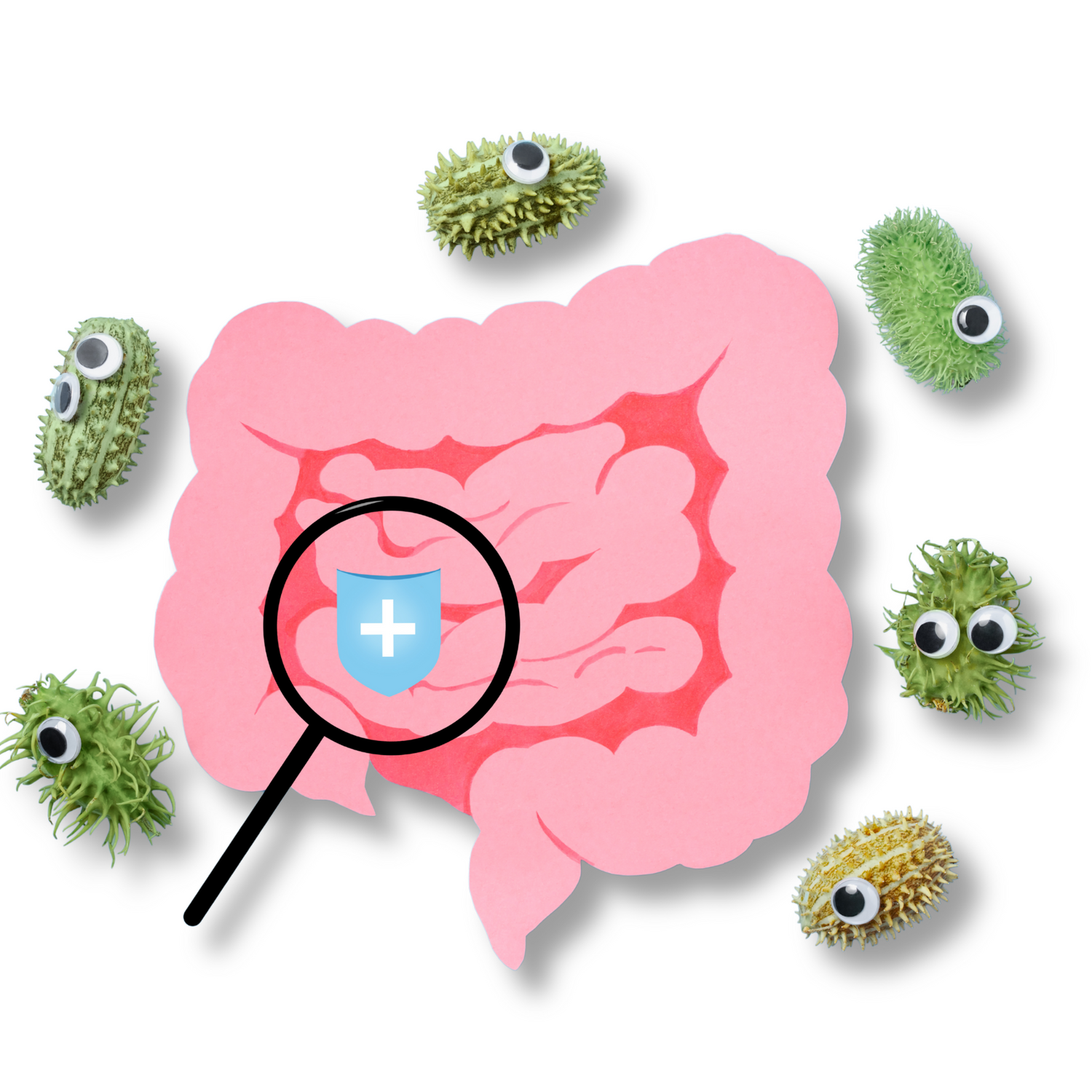 PROBIOTICS