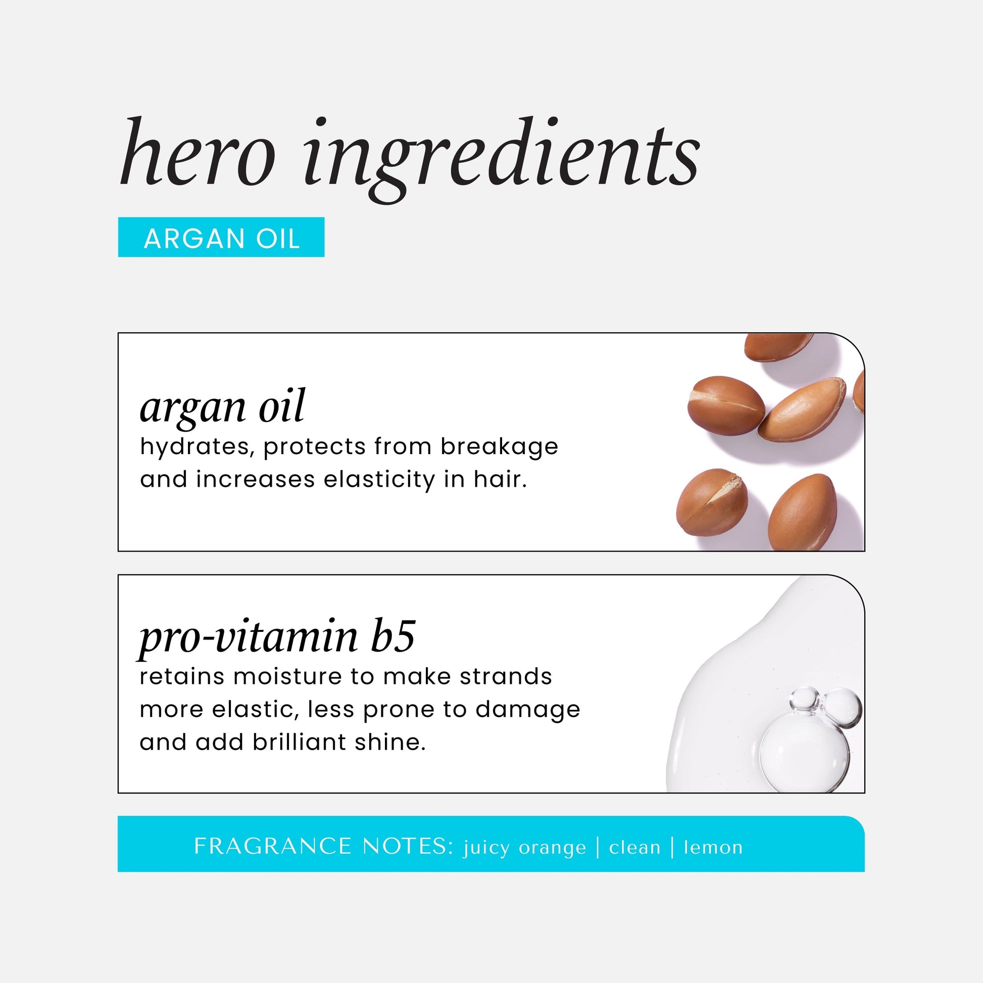 Argan Oil 5-in-1 Leave-In Spray - STELLAR PHARMACY