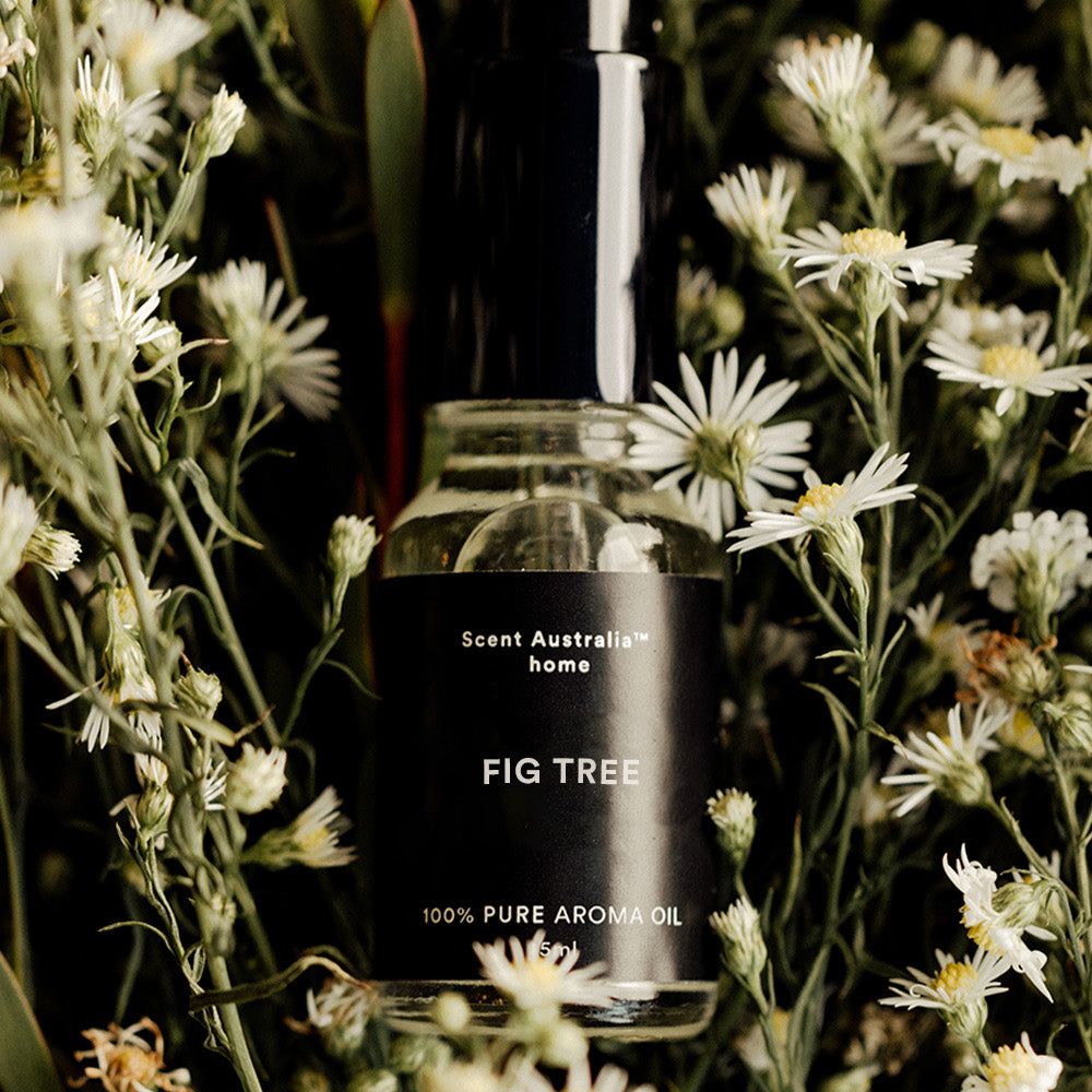 Fig Tree Oil (15ml)