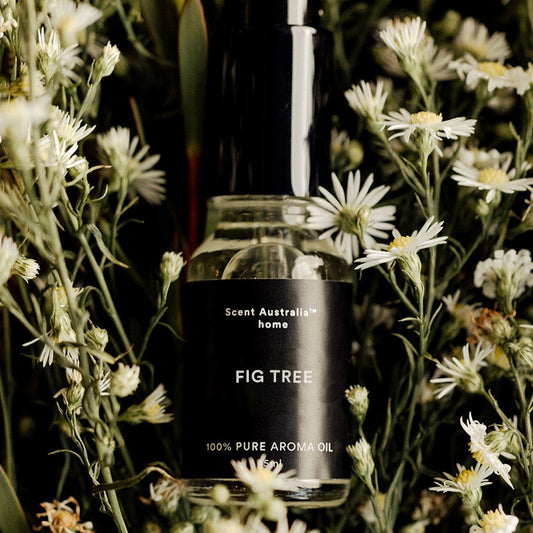 Fig Tree Oil (15ml)