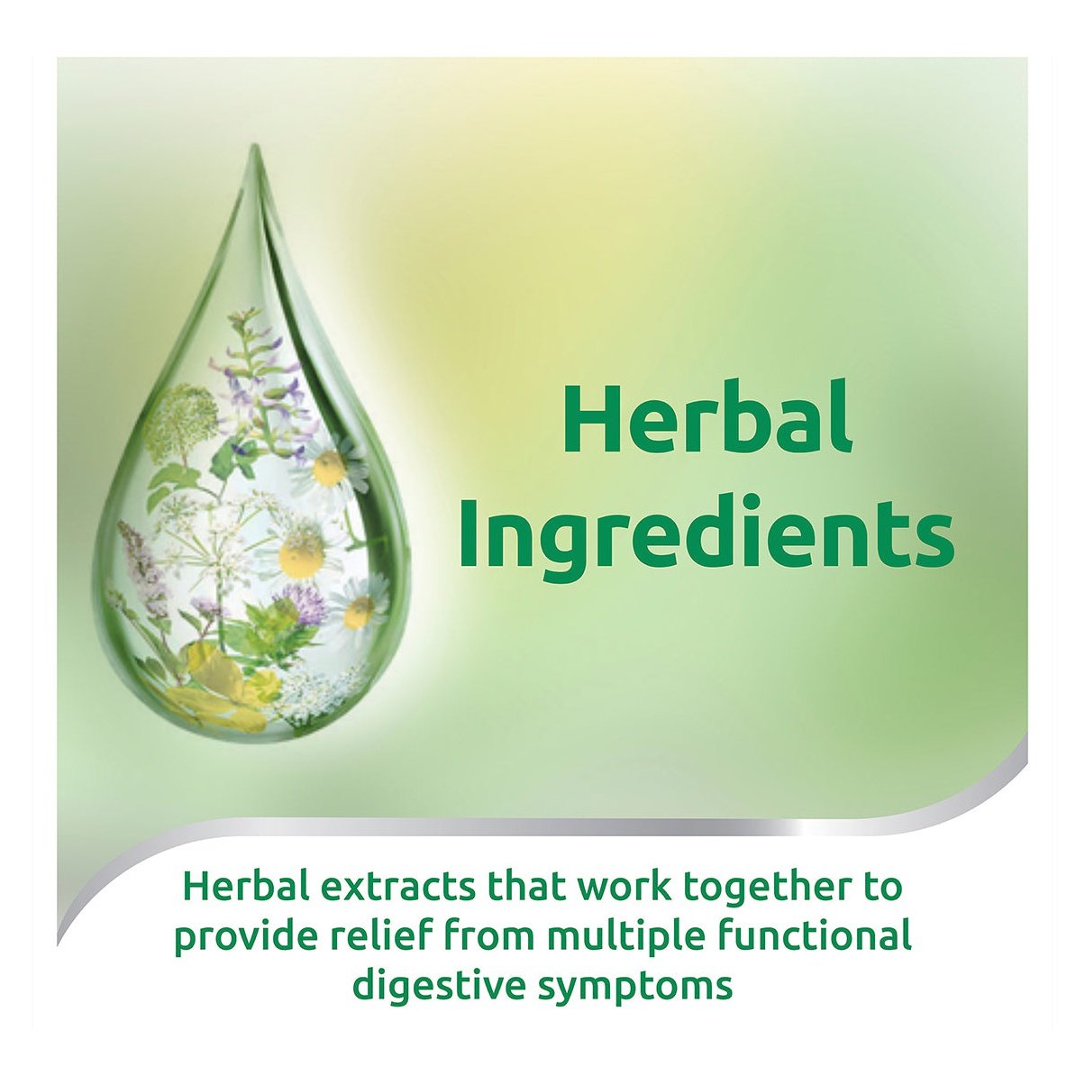 Iberogast Oral Liquid 50ml