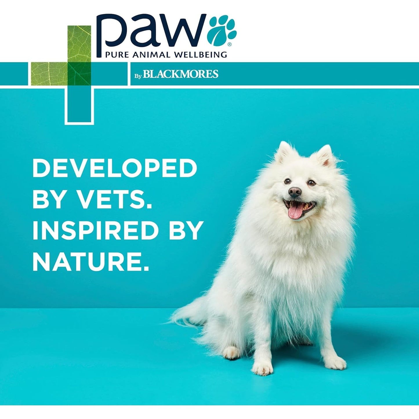 PAW By Blackmores MediDerm Gentle Medicated Shampoo (For Dogs) 500ml
