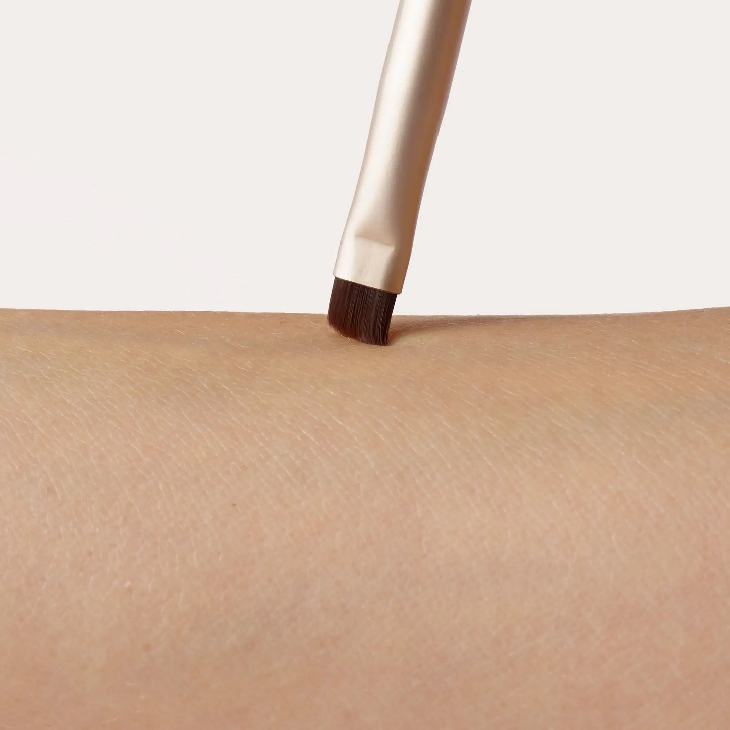 Eye/Brow Brush Ⓥ