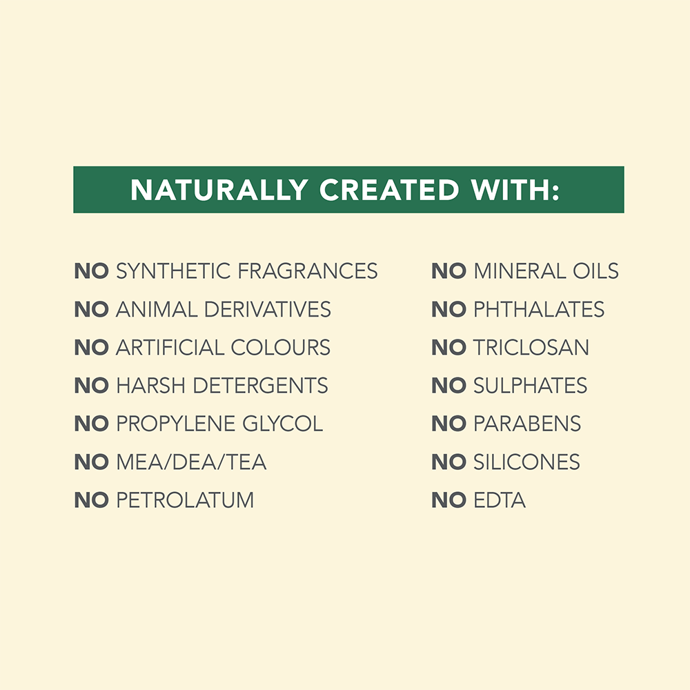 PURIFYING FACIAL MASQUE | 100 mL