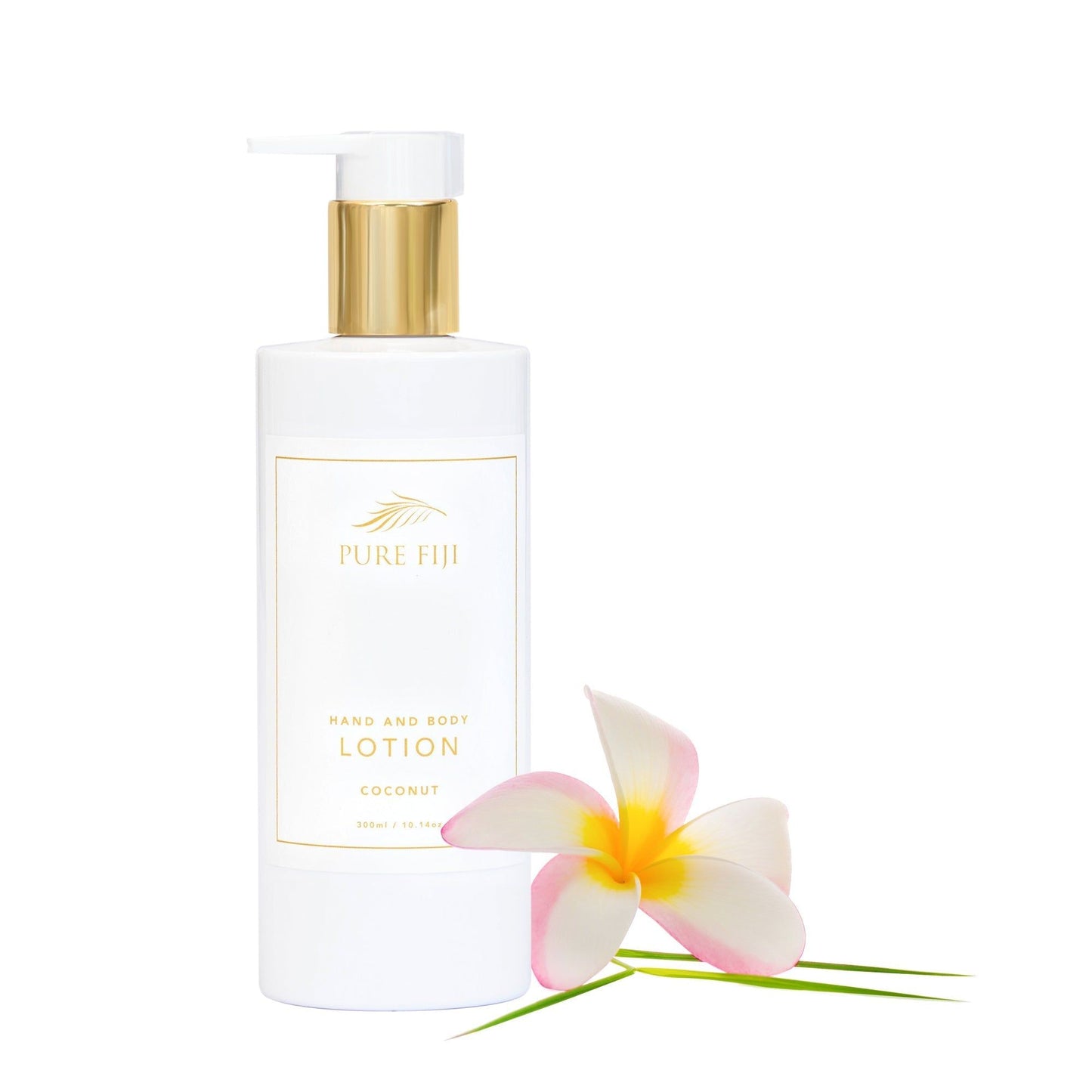 Vanity Lotion (10oz/300ml)